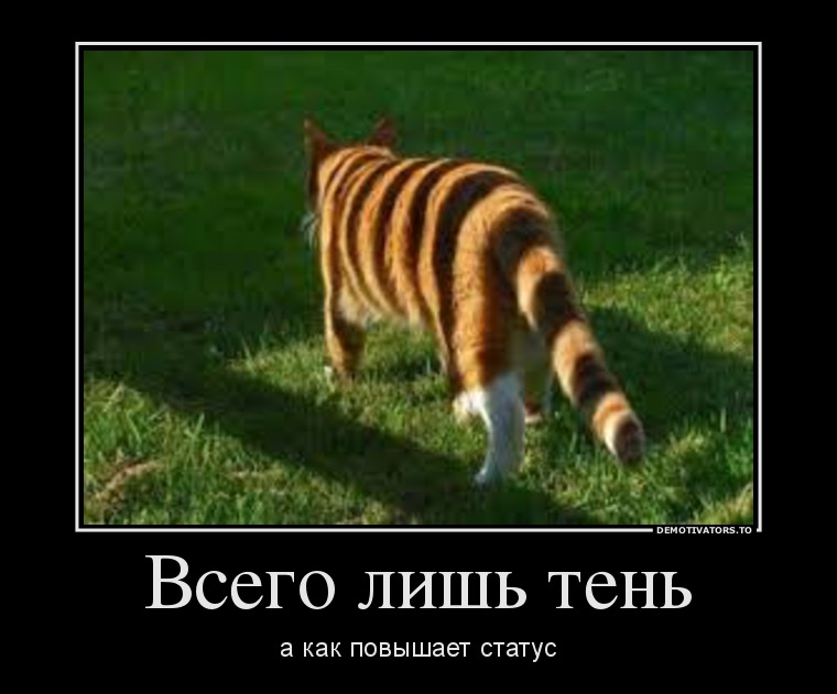 Всего лишь тень