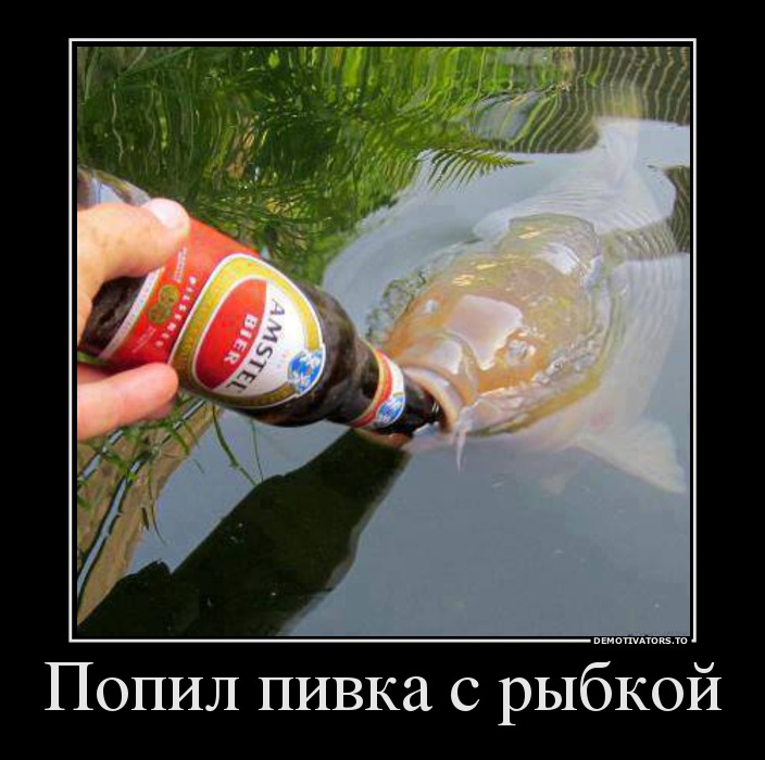 Попил пивка с рыбкой
