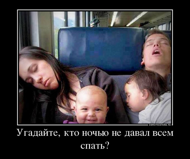 Угадайте, кто ночью не давал всем спать?