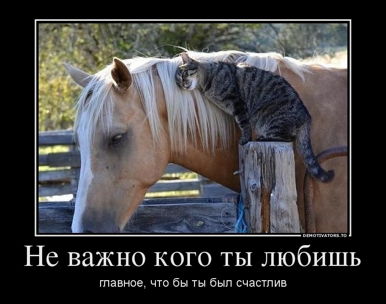 Не важно кого ты любишь