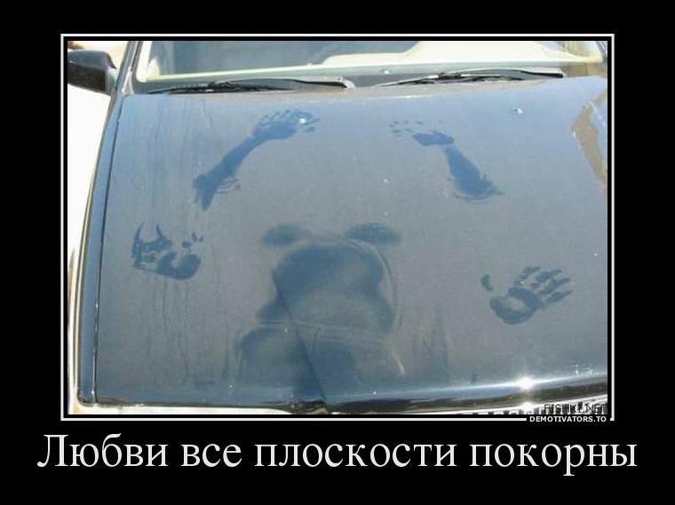 Любви все плоскости покорны