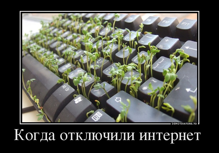Когда отключили интернет