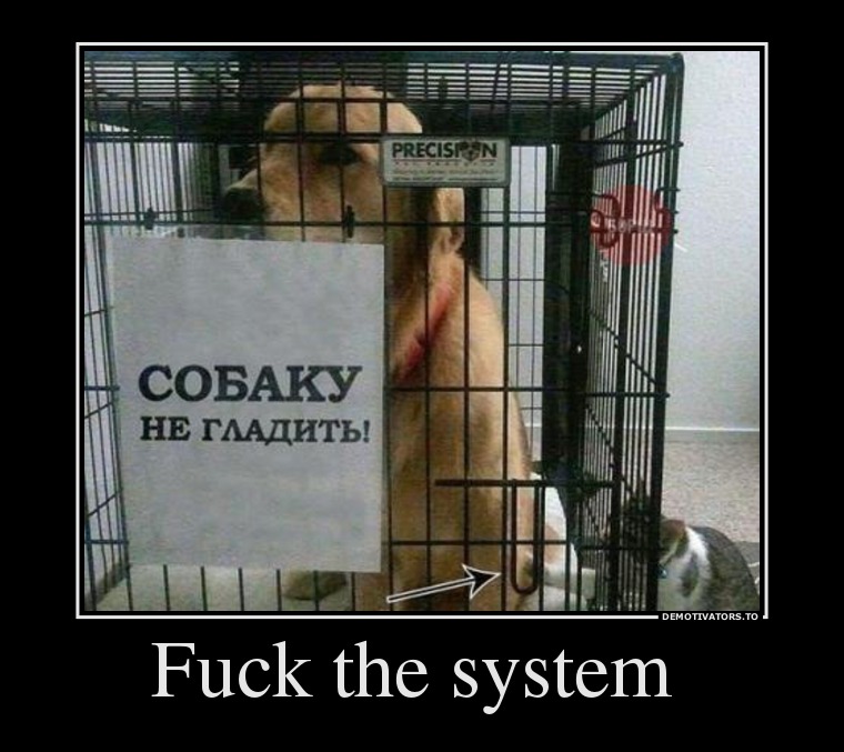 Fuck the system