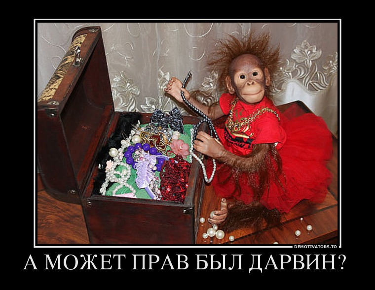 А МОЖЕТ ПРАВ БЫЛ ДАРВИН?