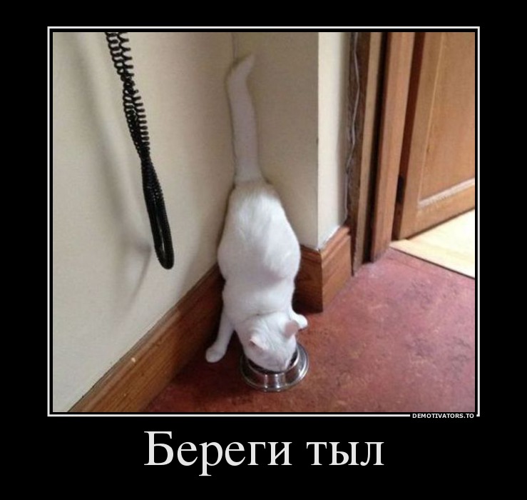 Береги тыл