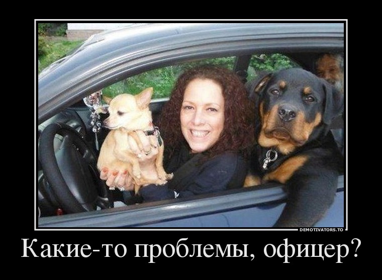 Какие-то проблемы, офицер?