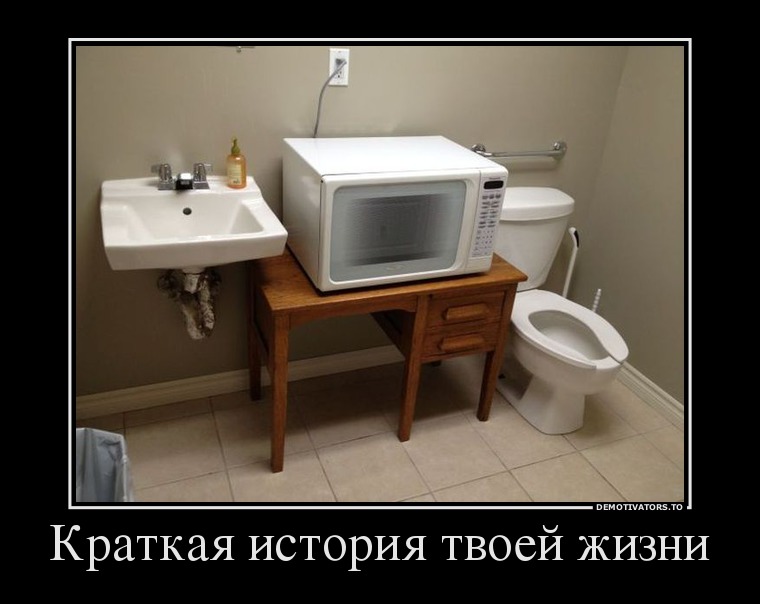 Краткая история твоей жизни