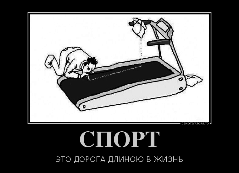 СПОРТ