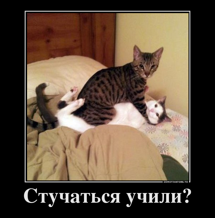 Стучаться учили?