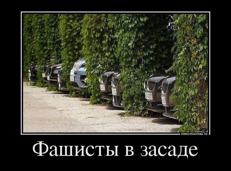 Фашисты в засаде