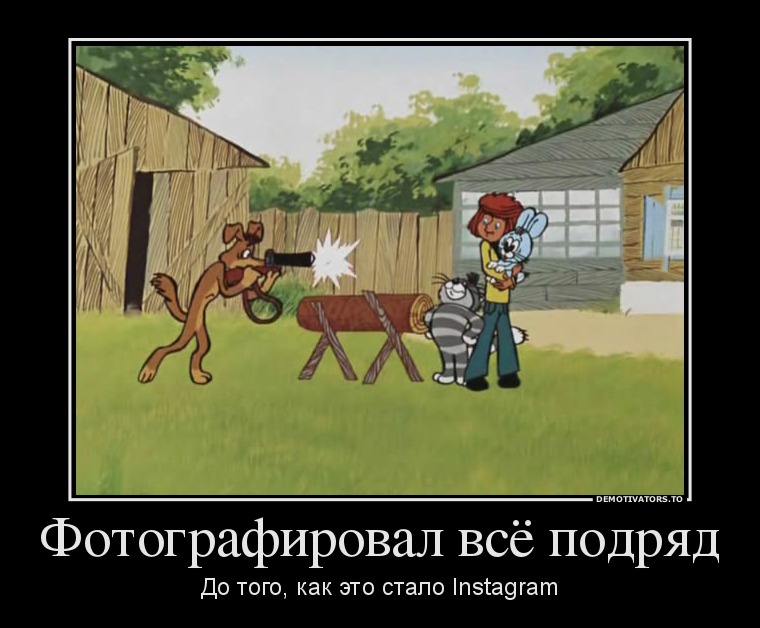 Фотографировал всё подряд