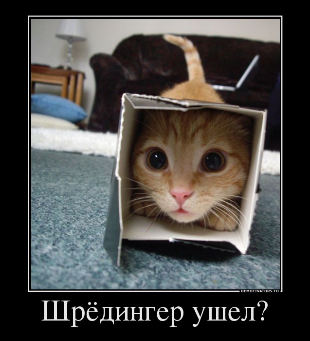 Шрёдингер ушел?