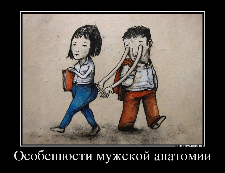 Особенности мужской анатомии