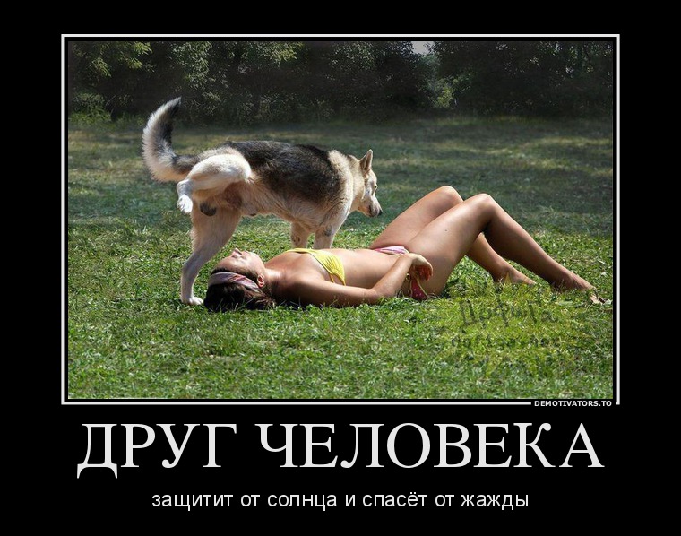 ДРУГ ЧЕЛОВЕКА