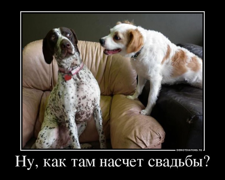 Ну, как там насчет свадьбы?