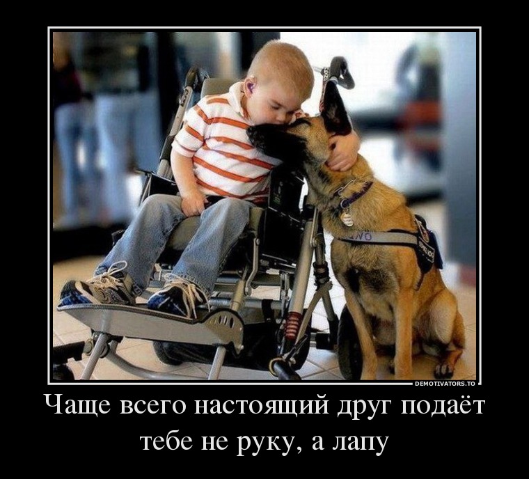 Чаще всего настоящий друг подаёт тебе не руку, а лапу