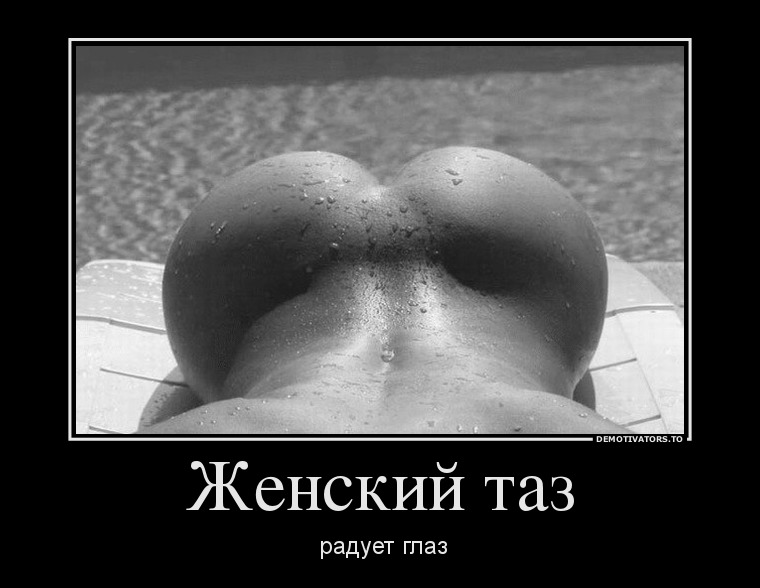 Женский таз