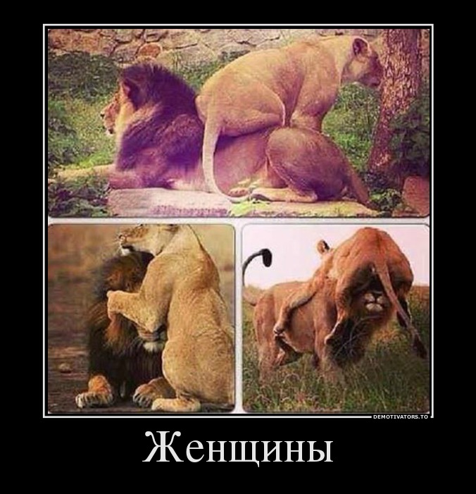 Женщины