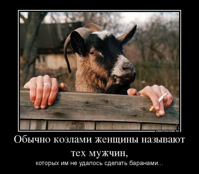 Обычно козлами женщины называют тех мужчин,