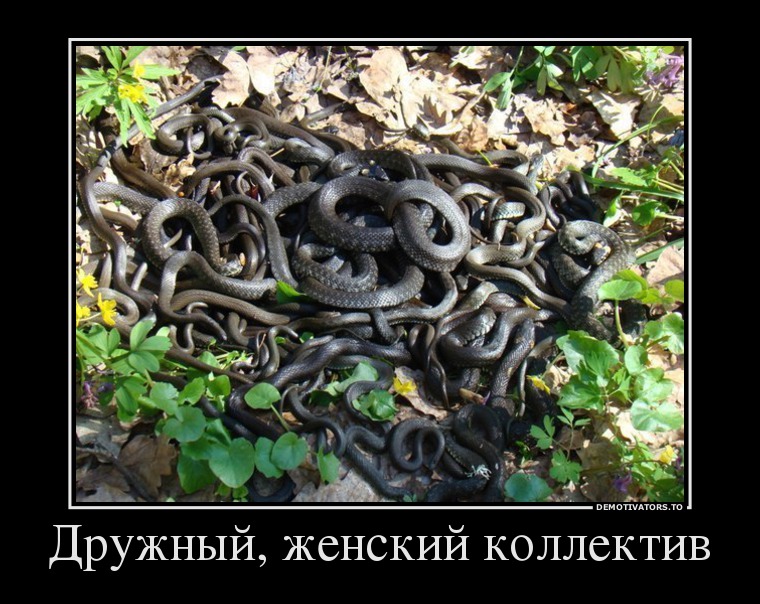 Дружный, женский коллектив