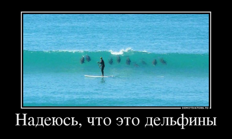 Надеюсь, что это дельфины