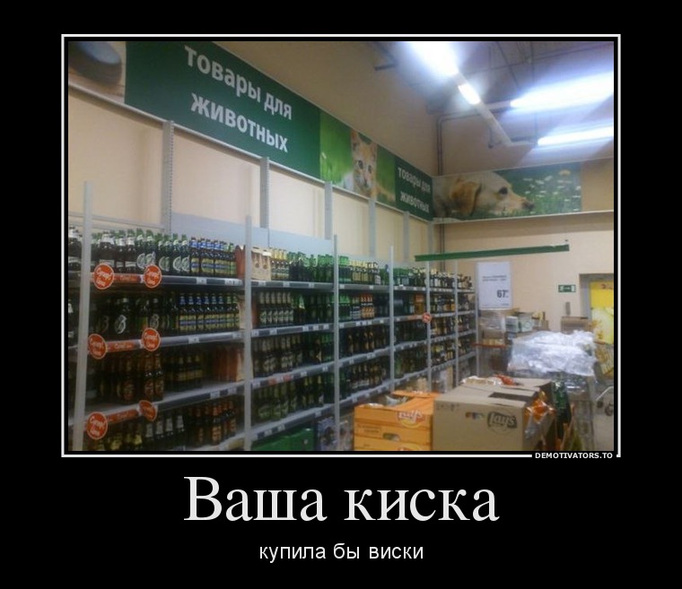 Ваша киска