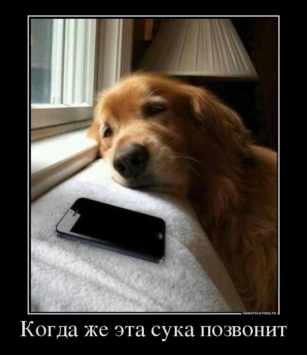 Когда же эта сука позвонит