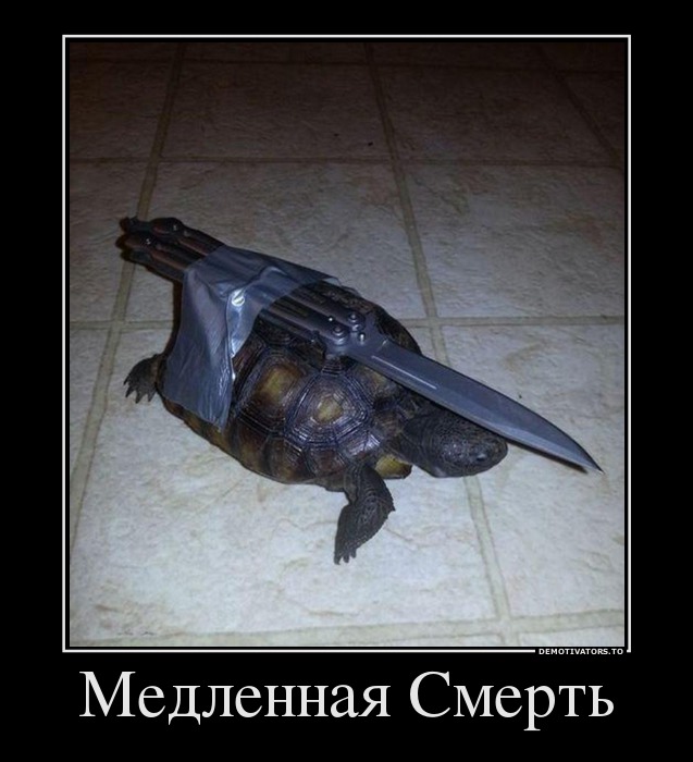 Медленная Смерть