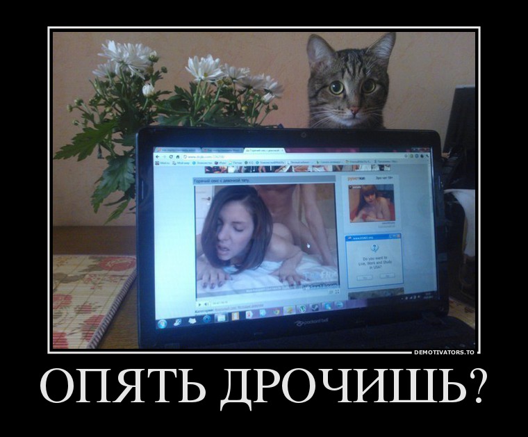 ОПЯТЬ ДРОЧИШЬ?