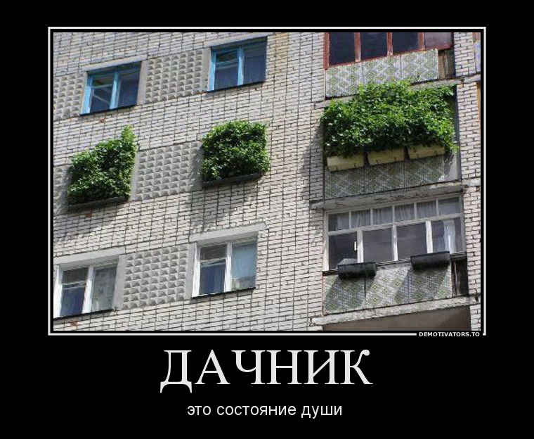 ДАЧНИК