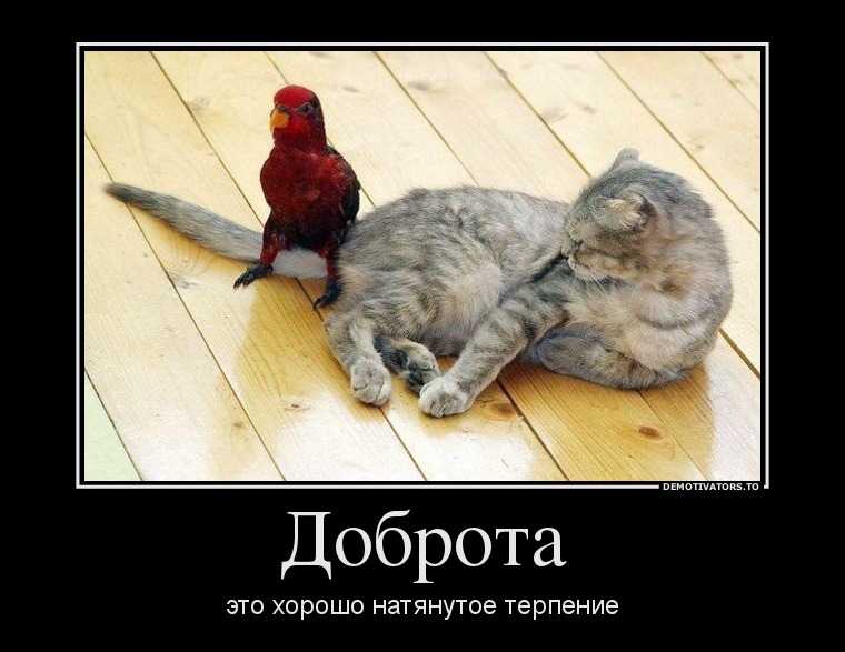 Доброта