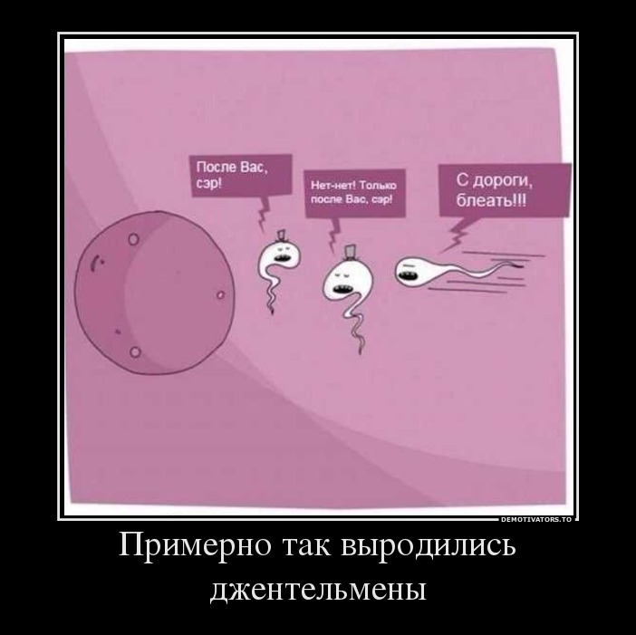 Примерно так выродились джентельмены