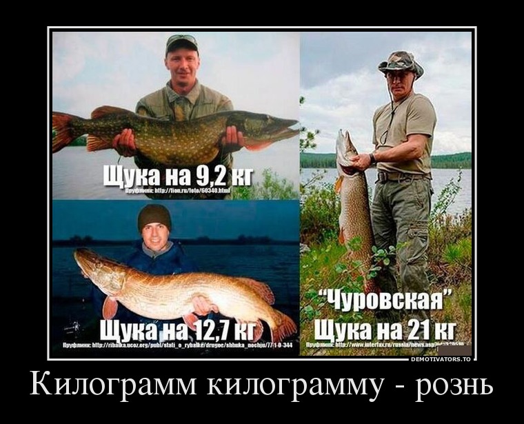 Килограмм килограмму - рознь