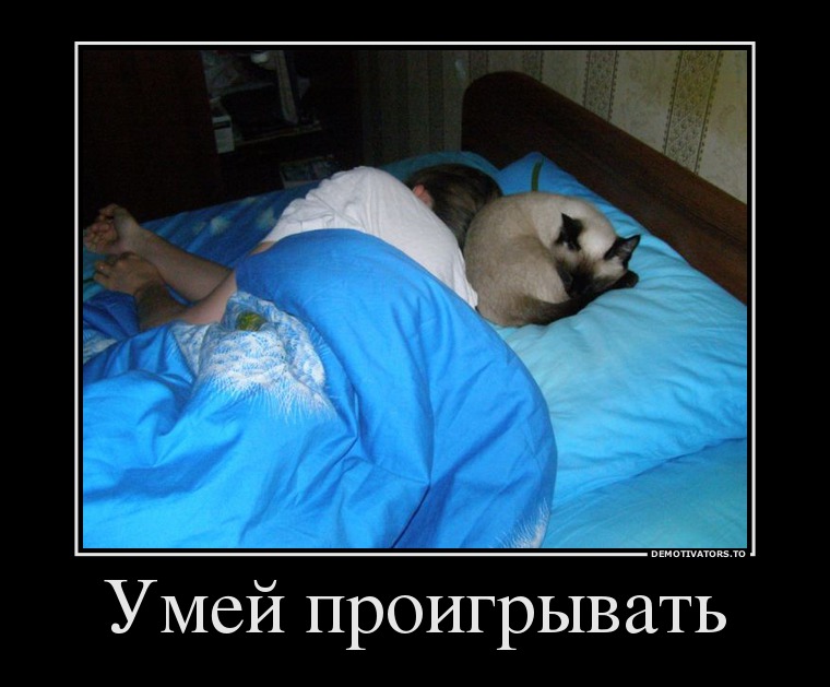 Умей проигрывать
