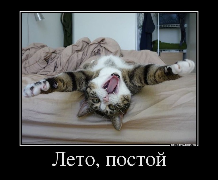 Лето, постой