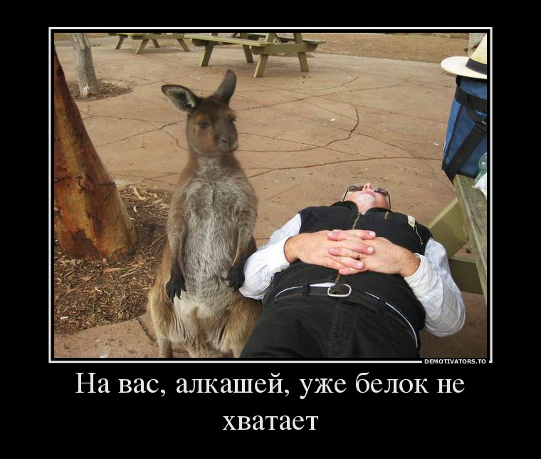 На вас, алкашей, уже белок не хватает