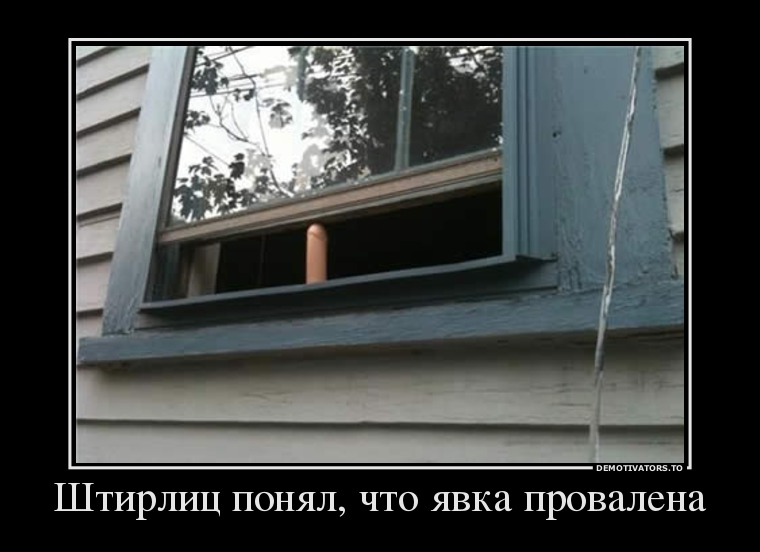 Штирлиц понял, что явка провалена