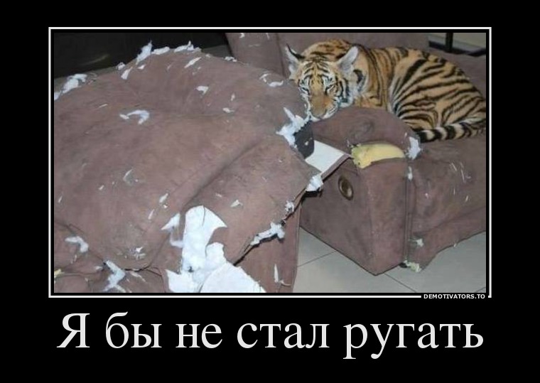 Я бы не стал ругать