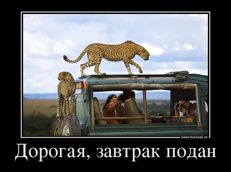 Дорогая, завтрак подан