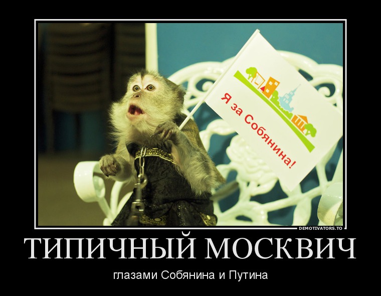 ТИПИЧНЫЙ МОСКВИЧ