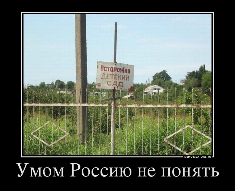 Умом Россию не понять