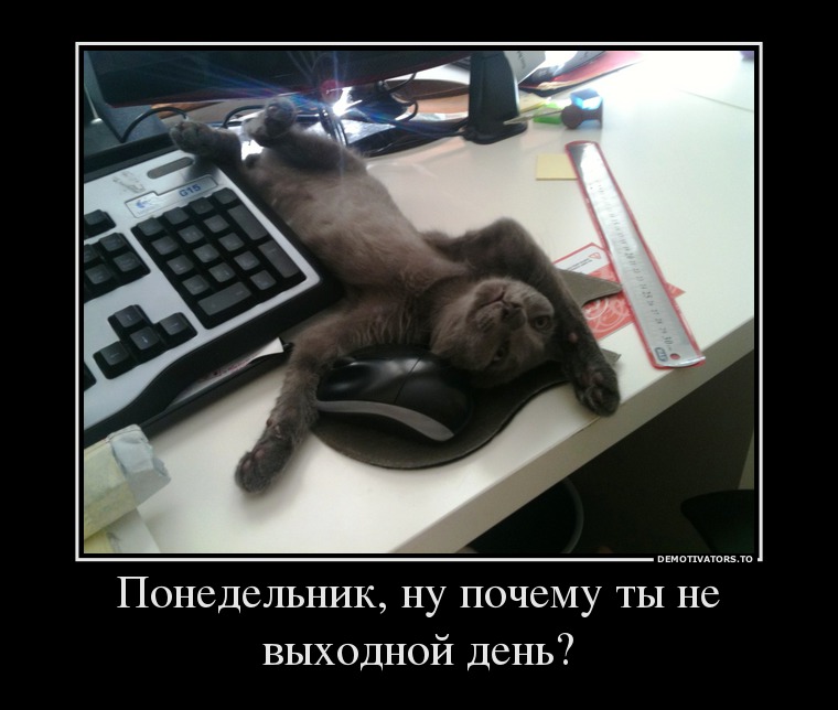 Понедельник, ну почему ты не выходной день?