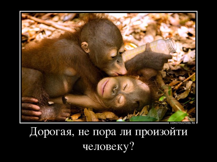 Дорогая, не пора ли произойти человеку?