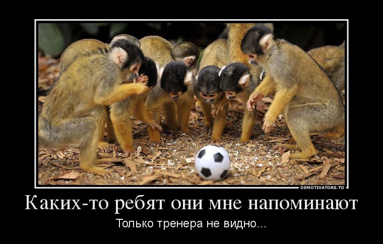 Каких-то ребят они мне напоминают