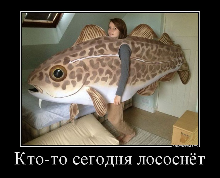 Кто-то сегодня лососнёт