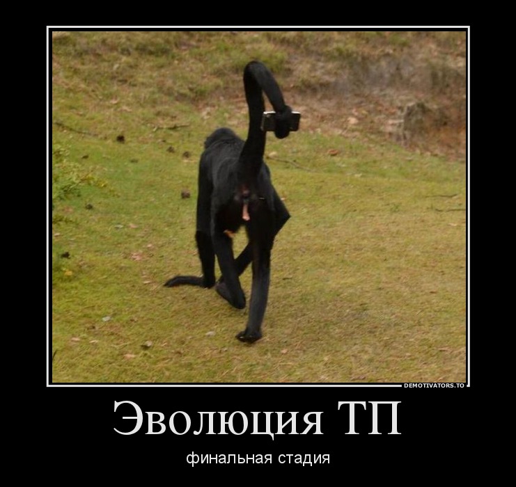 Эволюция ТП