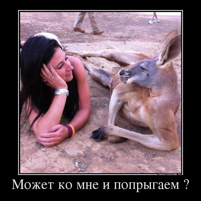 Может ко мне и попрыгаем ?