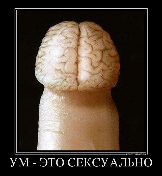 УМ - ЭТО СЕКСУАЛЬНО