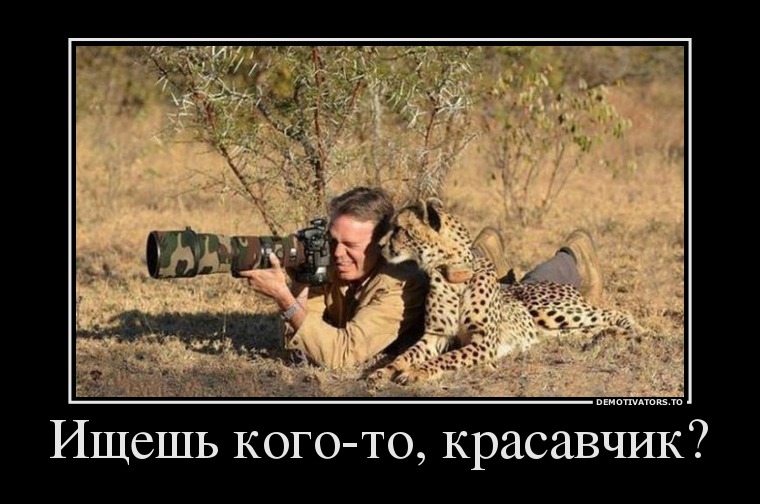 Ищешь кого-то, красавчик?