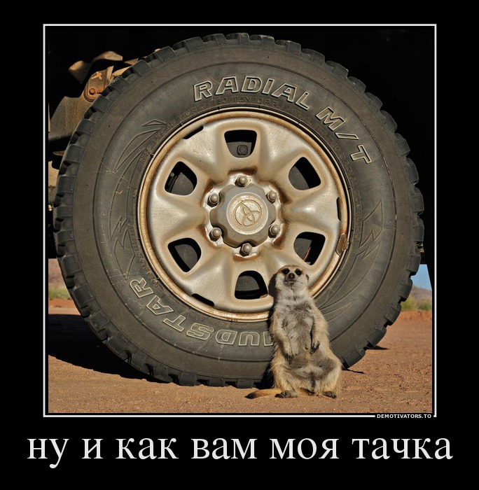 ну и как вам моя тачка